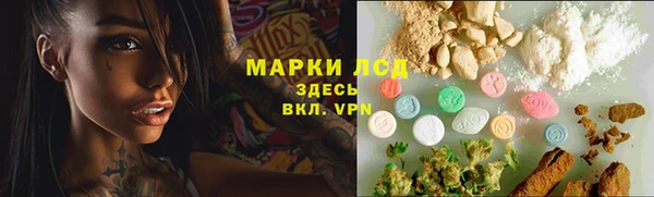 сатива Беломорск