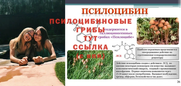 синтетический гашиш Богородск
