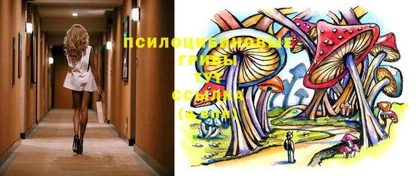 синтетический гашиш Богородск