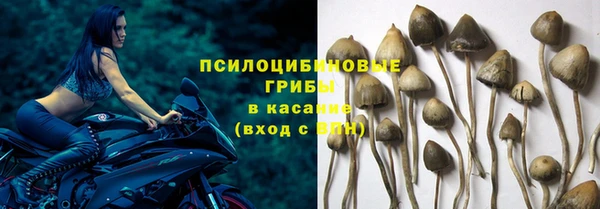 ешки Богородицк